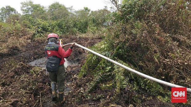 2,2 Juta Liter Air Dipakai untuk Water Bombing Karhutla Riau