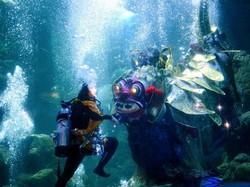 Sambut Nyepi, Ancol Gelar Pertunjukan Barongan Dalam Air