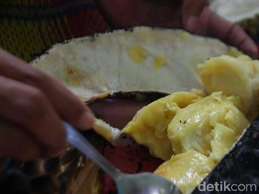 Lembut Wangi! Lezatnya Durian Bakar di Kebun Durian Rajawetan Brebes