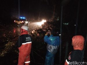 Pohon Tumbang dan Tanah Longsor di Tawangmangu, 1 Orang Tewas