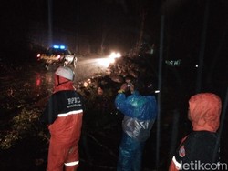 Pohon Tumbang dan Tanah Longsor di Tawangmangu, 1 Orang Tewas