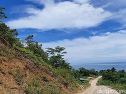 Pakai APBD, Tambrauw Belah Gunung untuk Bangun Akses Wisata