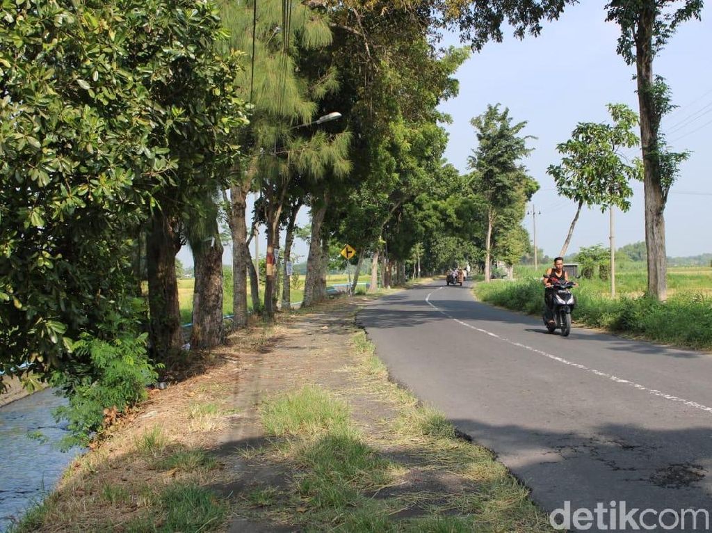 9 Perempuan Ngaku Jadi Korban Begal Payudara di Jombang 9 Perempuan Ngaku Jadi Korban Begal Payudara di Jombang
