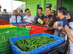 Kementan Dorong Petani Sayuran di Cianjur Naik Kelas