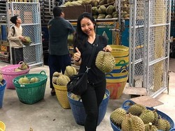 Kandidat Terlalu Tampan, Juragan Durian Batalkan Pencarian Jodoh Putrinya