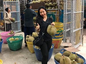 Kandidat Terlalu Tampan, Juragan Durian Batalkan Pencarian Jodoh Putrinya Kandidat Terlalu Tampan, Juragan Durian Batalkan Pencarian Jodoh Putrinya