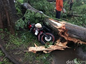 Puting Beliung Mengamuk di Probolinggo, Satu Orang Tewas Puting Beliung Mengamuk di Probolinggo, Satu Orang Tewas