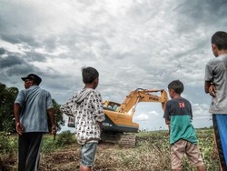 Optimalkan Lahan Rawa, Kementan Bagikan 10 Ekskavator di Wajo