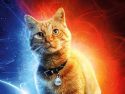 Goose Jadi Karakter Penting di Masa Depan Setelah Captain Marvel