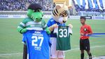 Ada Dilan di Laga  Persib vs Persebaya, Kok Bisa?