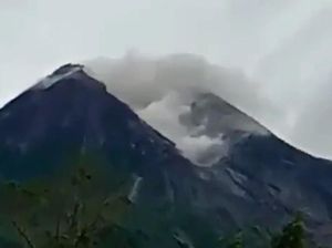 Potret Merapi Muntahkan Awan Panas Hari Ini