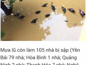 Ramai Foto Banjir Rendam Motor Disebut di Jakarta, Faktanya di Vietnam