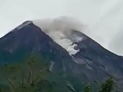 Gunung Merapi Kembali Luncurkan Awan Panas Guguran