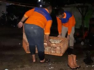 Bengawan Solo Sempat Siaga Merah Dini Hari Tadi, Pagi Ini Surut