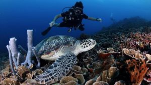 Foto yang Bikin Kamu Ingin Liburan ke Lombok