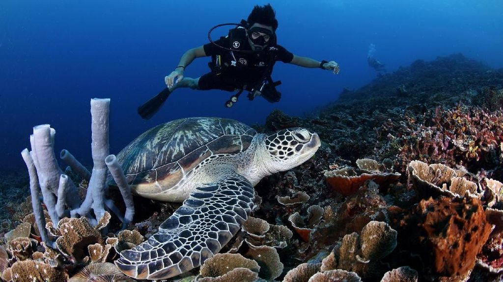 Foto yang Bikin Kamu Ingin Liburan ke Lombok Foto yang Bikin Kamu Ingin Liburan ke Lombok