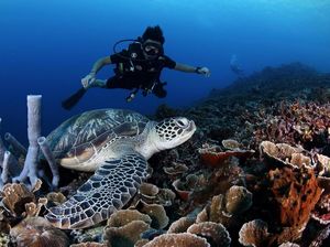 My Trip My Adventure: Napak Tilas Petualangan di Lombok