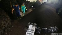 Keren! Disini Sampah Organik Diolah Jadi Pupuk Lho