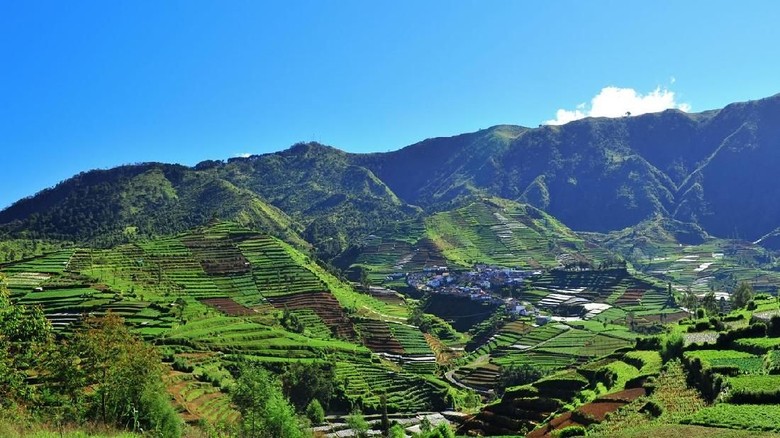 20 Obyek Wisata Dieng Yang Wajib Dikunjungi 1 obyek wisata dieng