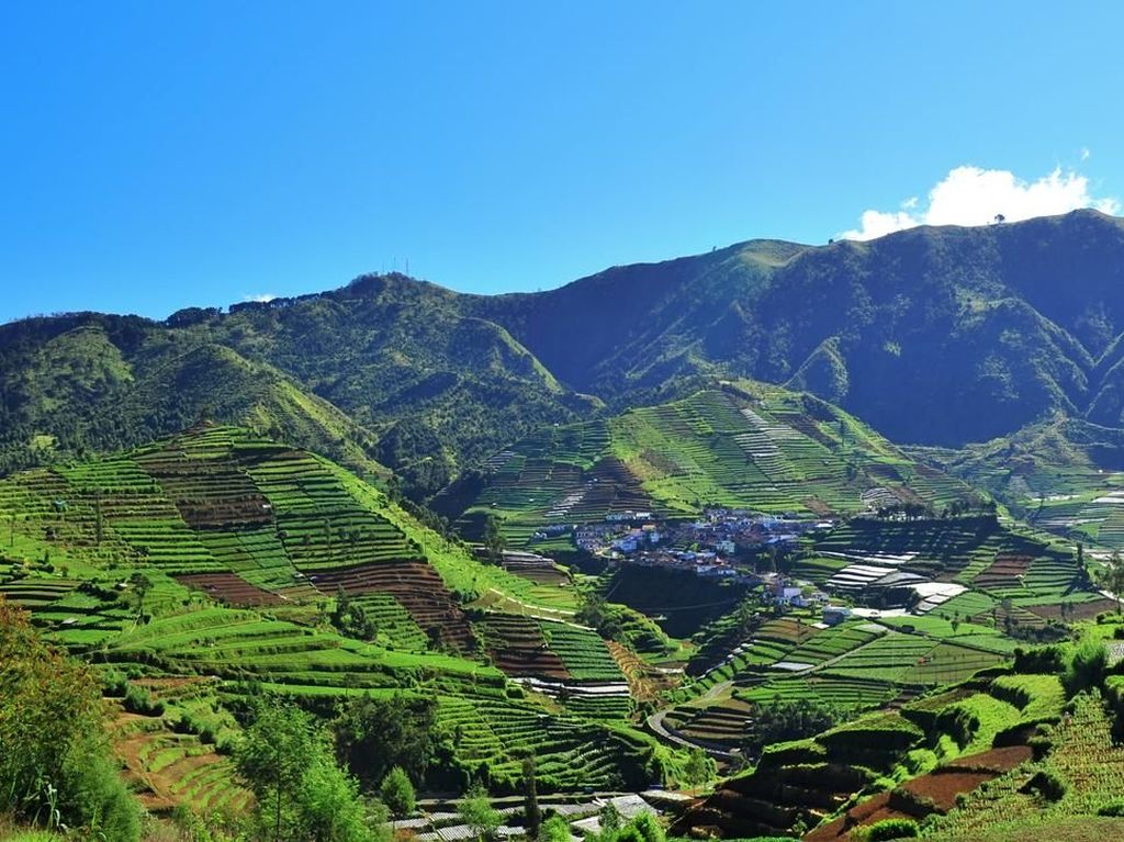 Berita dan Informasi Wisata di dieng Terkini dan Terbaru Hari ini