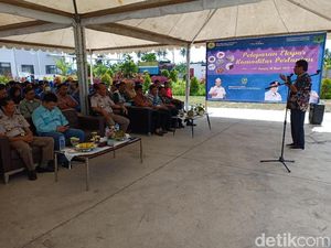 200 Ton Rumput Laut Sulsel Diekspor ke China hingga Inggris