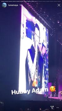 Luna Maya menonton konser Maroon 5 di Singapura