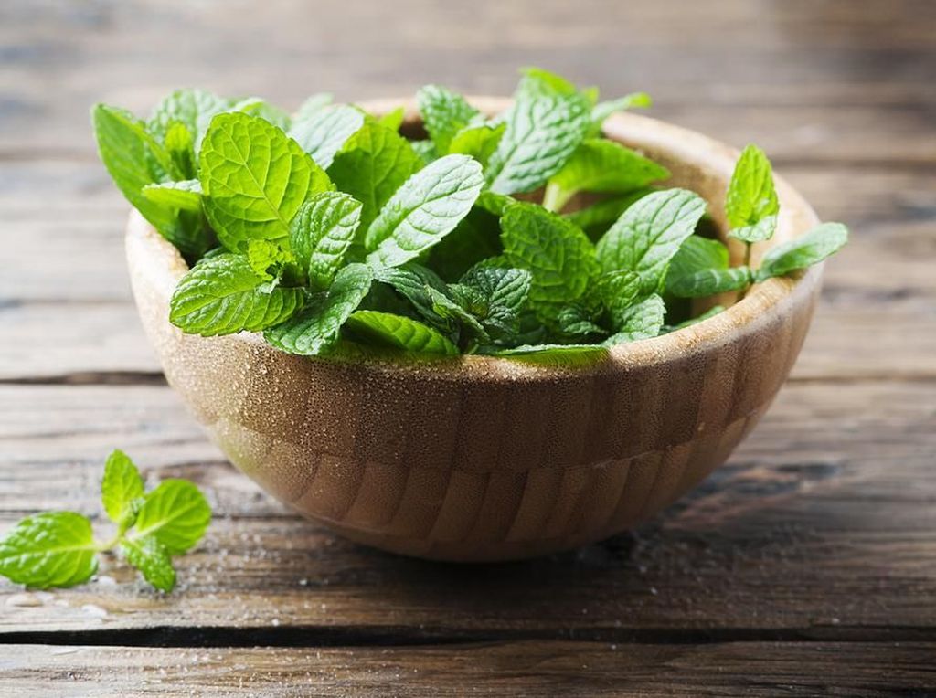 Khasiat Peppermint untuk Redakan Batuk yang Wajib Diketahui Khasiat Peppermint untuk Redakan Batuk yang Wajib Diketahui
