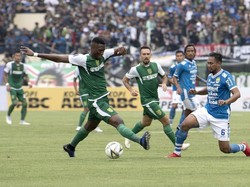 Djajang Bisa Menang karena Hafal Persib Luar-Dalam