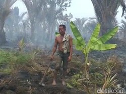 Nestapa Pemilik Kebun di Meranti Riau yang Terbakar: Hangus Semua!