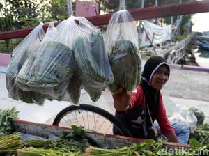 Viral Pedagang Sayur Disepelekan Camer, Padahal Cuannya Banyak Viral Pedagang Sayur Disepelekan Camer, Padahal Cuannya Banyak