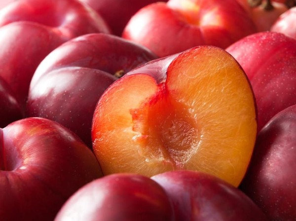 16 Manfaat Buah Plum untuk Kesehatan Tubuh/Foto: iStock
