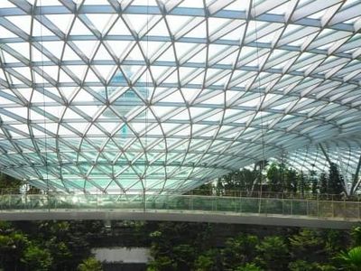 Foto: Mal Mirip Hutan di Singapura, Buka April 2019