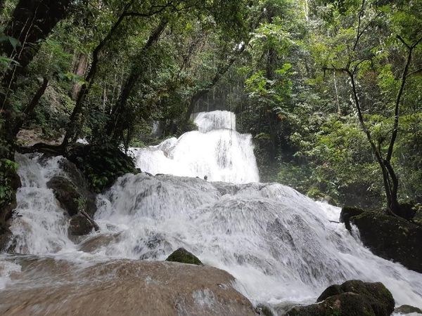 Foto: Eksotisme Air Terjun Perawan di Papua