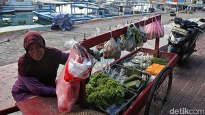 Memetik Rezeki Lewat Buah dan Sayur di Pulau Pramuka