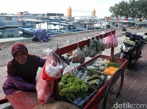 Memetik Rezeki Lewat Buah dan Sayur di Pulau Pramuka Memetik Rezeki Lewat Buah dan Sayur di Pulau Pramuka