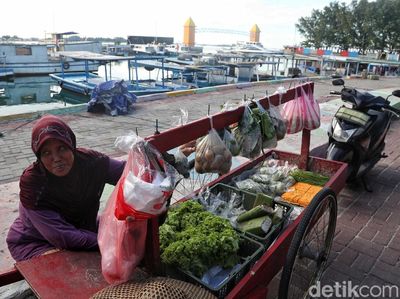 Memetik Rezeki Lewat Buah dan Sayur di Pulau Pramuka