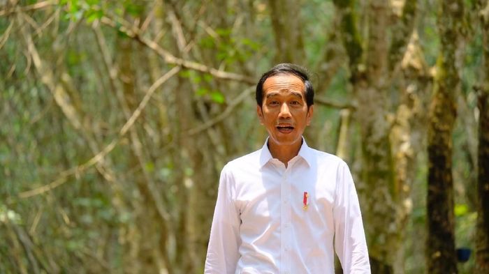 Jokowi Sindir Pemilik Lahan 5 Kali Dki, Menhub Minta Maaf Krl Terguling