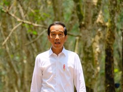 Jokowi Tinjau Proses Rekonstruksi Rumah Tahan Gempa di NTB