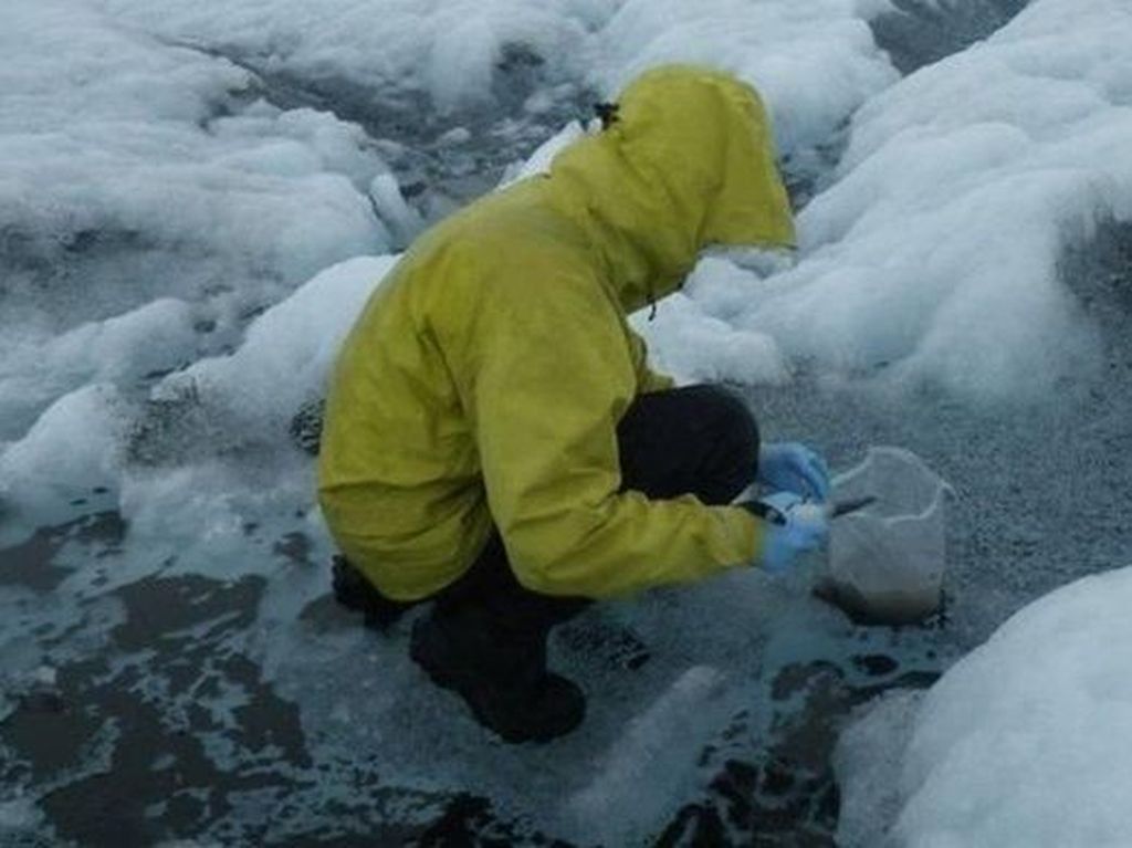 Hujan di Tengah Musim Dingin Mencairkan Lapisan Es di Greenland Hujan di Tengah Musim Dingin Mencairkan Lapisan Es di Greenland