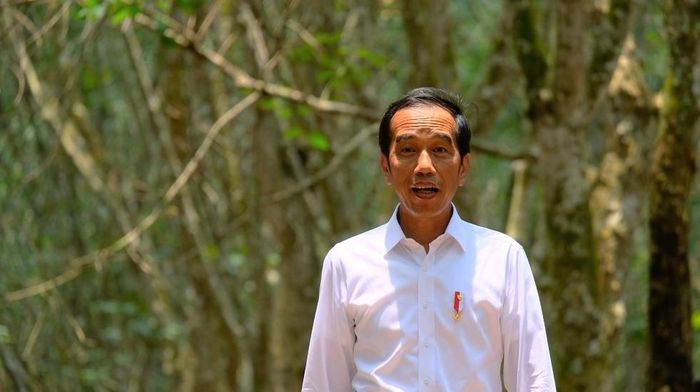 Foto: Dok. Istimewa Foto: Dok. Istimewa