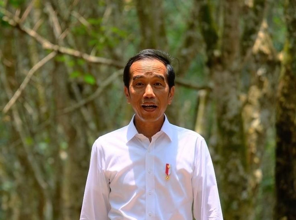 Menang Pilpres 2019, Jokowi Effect Masih Ada? Menang Pilpres 2019, Jokowi Effect Masih Ada?
