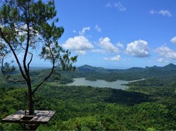 Wisata Kalibiru Sempat Gersang Sebelum Viral