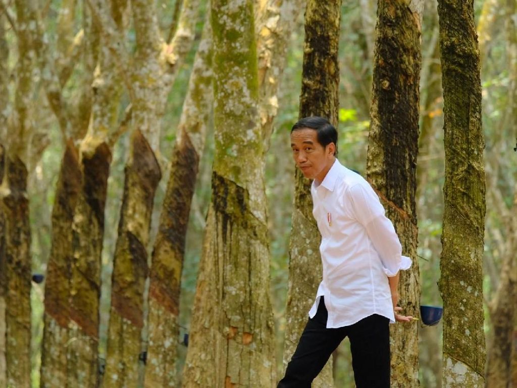 Surat Suara Tercoblos di Malaysia, Jokowi: Tak Ada Urusan Pemerintah