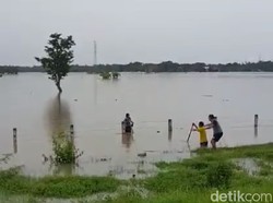 Viral Aksi Penyelamatan 1 Keluarga Terjebak Banjir di Tol Ngawi