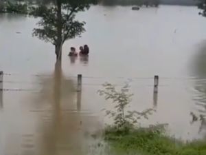 Video Dramatis! Pengendara Selamatkan Korban Banjir di Tepi Tol