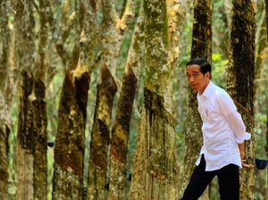 Nur Halimah Curhat soal Tanah, Jokowi: Segera Diselesaikan Lewat BPN Nur Halimah Curhat soal Tanah, Jokowi: Segera Diselesaikan Lewat BPN