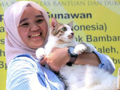 Bandi Pemenang Lomba Mirip Bobby, Kucing Milik Prabowo