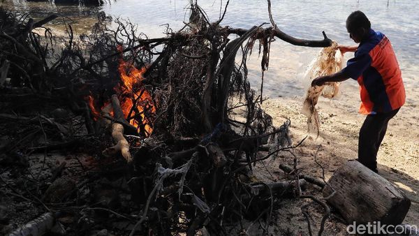 Aksi Petugas Bersihkan Sampah di Pulau Karya