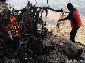 Aksi Petugas Bersihkan Sampah di Pulau Karya