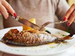 Ikan Apa Saja Sih yang Enggak Boleh Dimakan Saat Hamil? Ikan Apa Saja Sih yang Enggak Boleh Dimakan Saat Hamil?